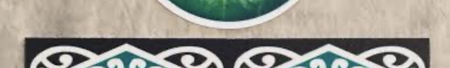 Koru-inspired Whetū Cleanz border